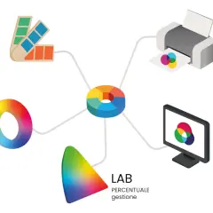 Diagramma che illustra diversi modelli di colore: PANTONE, HSL, LAB, CMYK e RGB, con esempi visivi e descrizioni. Un viaggio nel mondo del codice colore.
