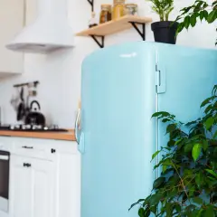 Un frigorifero azzurro vintage, pronto per essere verniciato, in una cucina luminosa con piante verdi.