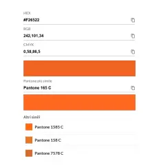 Dettagli del codice colori: HEX #F26522, RGB 242,101,34, CMYK 0,58,86,5. Pantone più simile: 165 C.