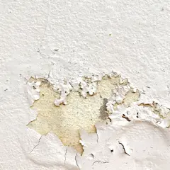 Dettaglio di una parete con pittura che si stacca, mostrando aree scrostate e la texture sottostante. Ideale per chi cerca come togliere pittura che si stacca.