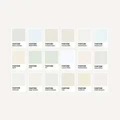 Palette di sfumature di bianco, con nomi evocativi come "Blanc de Blanc" e "Snow White", per ogni colore codice.