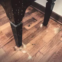 Gambe di un mobile in legno con fori e segatura sul pavimento. Potrebbe essere necessario un trattamento antitarlo fai da te.