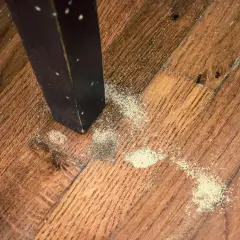 Polvere fine sul parquet vicino a una gamba di un mobile scuro, segno di come sono fatti i tarli del legno.