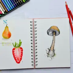 Un quaderno aperto mostra un disegno di una fragola tagliata e un fungo. Matite colorate e pastelli sono pronti per dipingere e disegnare.