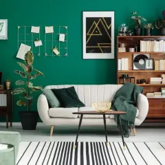 Soggiorno con parete verde smeraldo, divano bianco, libreria in legno e piante che creano diverse **tipi di green**.