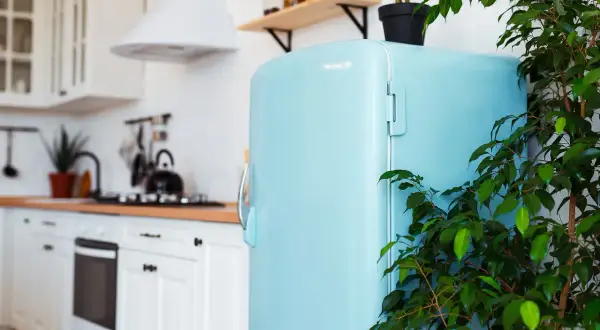 Un frigorifero azzurro vintage, pronto per essere verniciato, in una cucina luminosa con piante verdi.