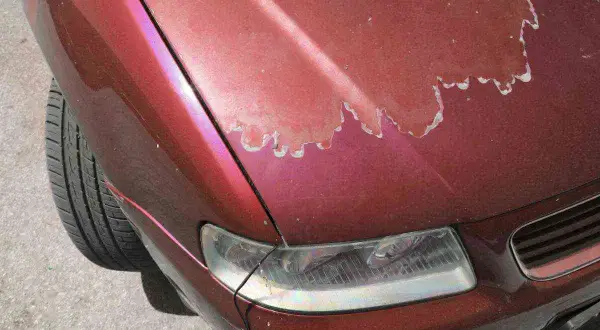 Vernice auto rovinata sul cofano rosso metallizzato, con scrostature evidenti che rivelano il primer.