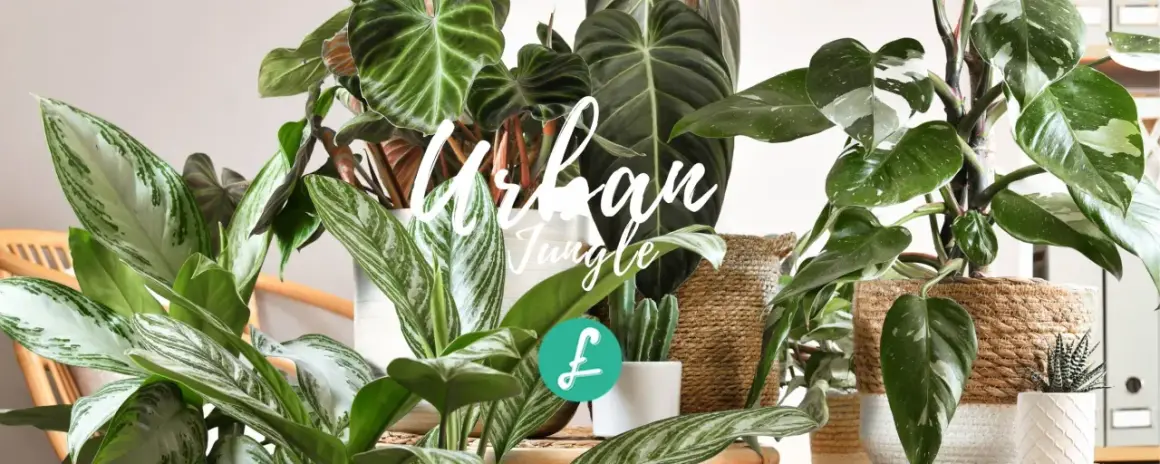 Un angolo verde rigoglioso, un vero stile urban jungle, con piante dalle foglie variegate e cestini in vimini.