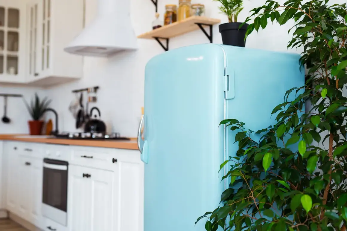 Un frigorifero azzurro vintage, pronto per essere verniciato, in una cucina luminosa con piante verdi.
