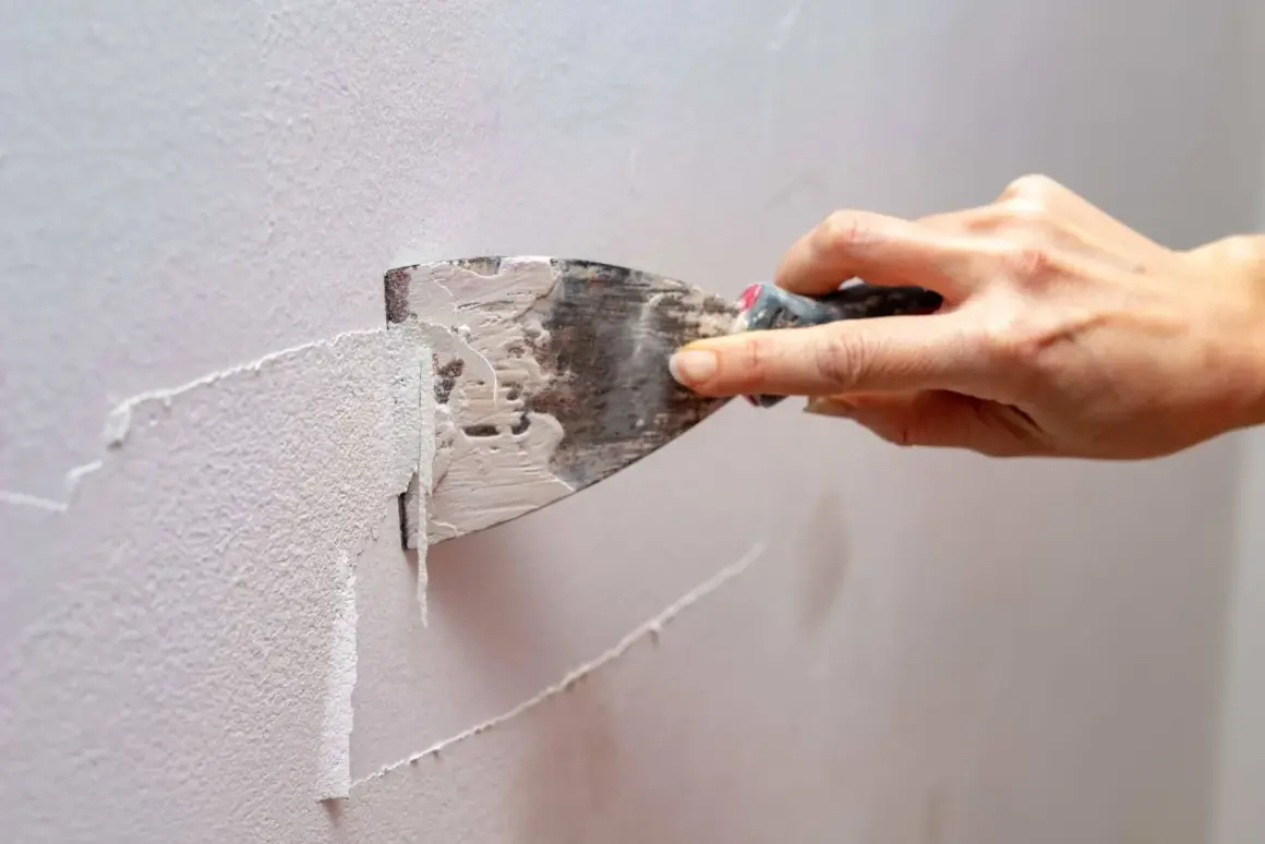 Mano usa una spatola per rimuovere la pittura vecchia da un muro.