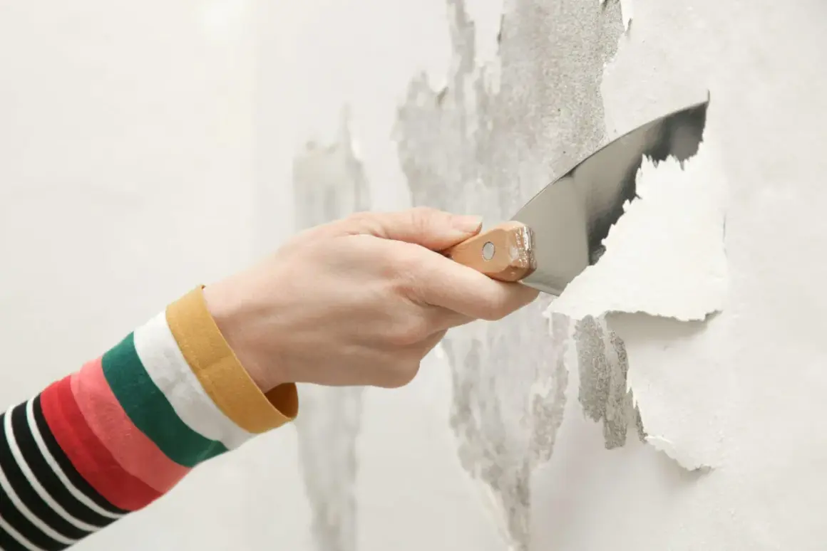 Mano con spatola rimuove vernice vecchia scrostata, preparando il muro per un nuovo strato, forse antiruggine.