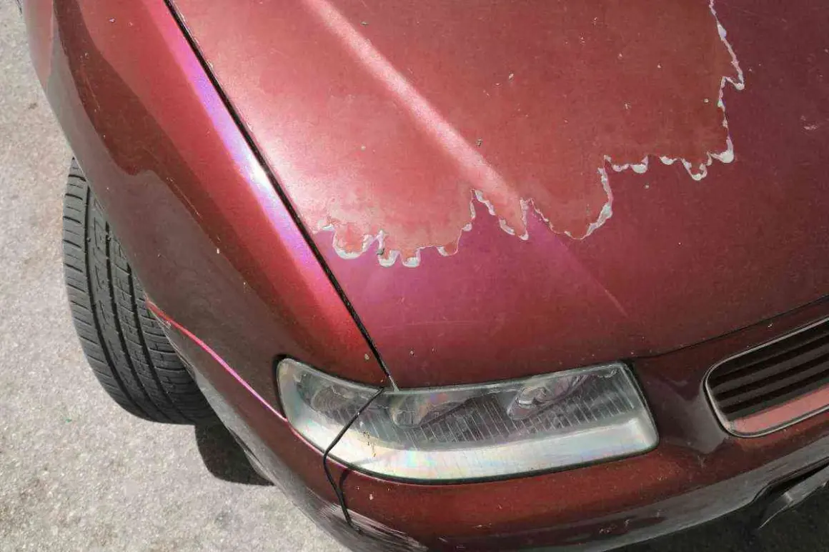 Vernice auto rovinata sul cofano rosso metallizzato, con scrostature evidenti che rivelano il primer.
