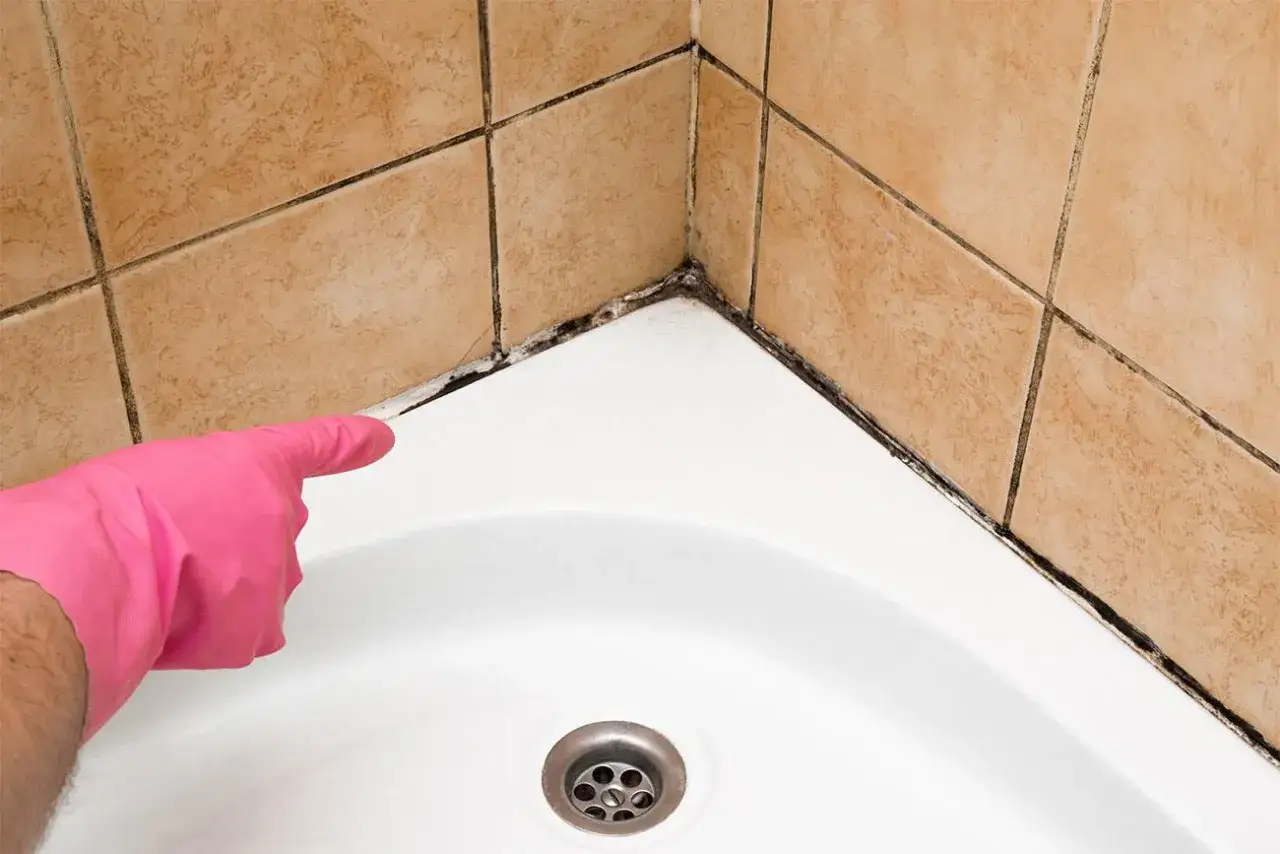 Mano con guanto rosa indica la muffa in bagno che si è formata nell'angolo tra le piastrelle e la vasca.