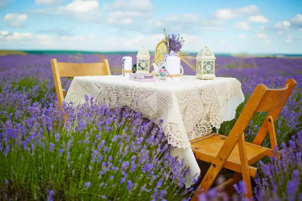 Tavolo apparecchiato con tovaglie all'uncinetto e lanterne, immerso in un campo di lavanda, evoca un'atmosfera di stile provenzale francese.