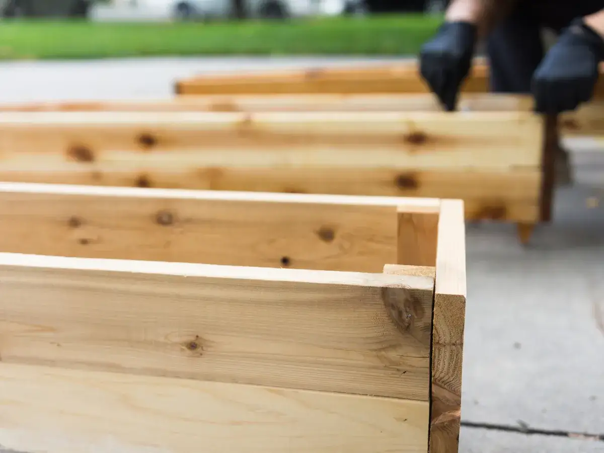 Costruzione di fioriere in legno fai da te. Le assi di legno grezzo sono assemblate per creare contenitori per piante.