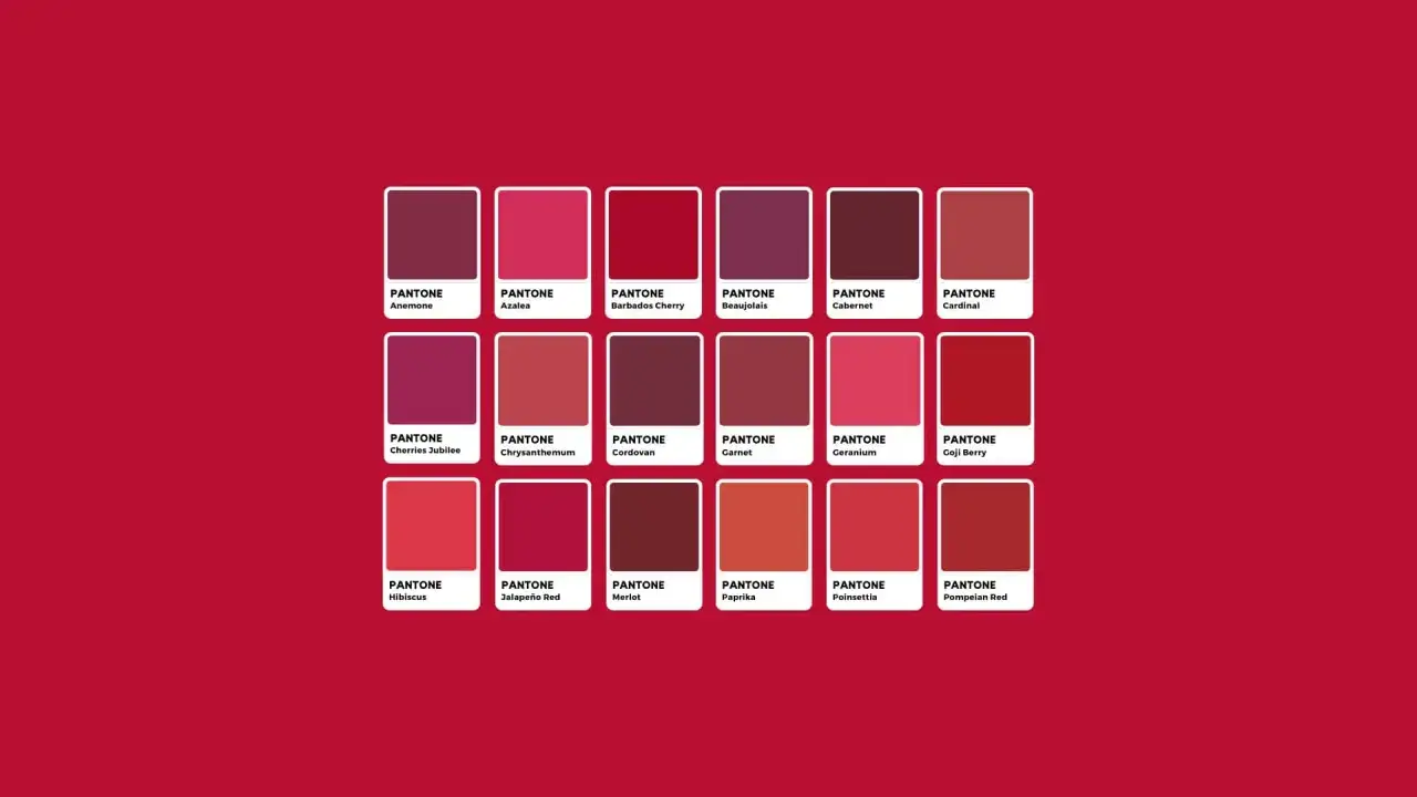 Tonalità di rosso scuro: Anemone, Cabernet, Cordovan, Merlot, Pompeian Red e altre sfumature per ispirare.