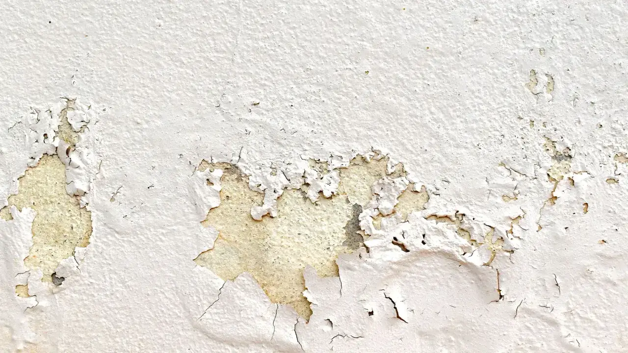La pittura si stacca dal muro, rivelando strati sottostanti di intonaco ingiallito e crepe che raccontano storie di tempo e umidit&agrave;.