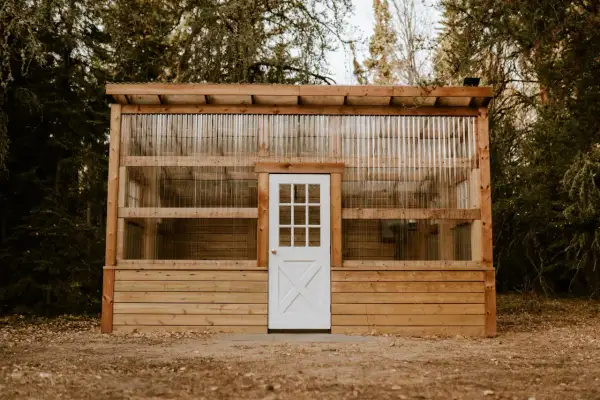 Guida su come costruire una piccola serra in legno con pareti trasparenti e porta bianca, immersa nel verde.